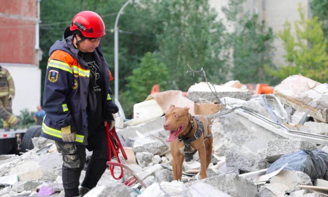 Фото Взрыв газа, шестеро погибших и траур 26.07.2025: что известно о трагедии в Саратове к данному часу 3 - Сиб.ФМ Фото Взрыв газа, шестеро погибших и траур 26.07.2025: что известно о трагедии в Саратове к данному часу 3